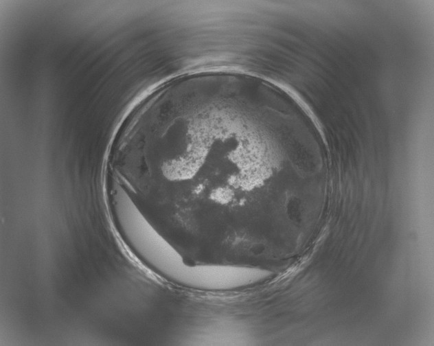 X0000056330957200509161706