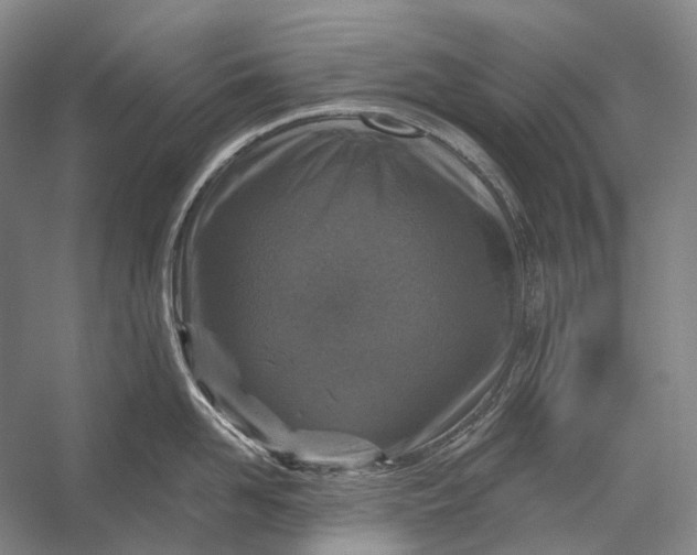 X0000056330958200509161706