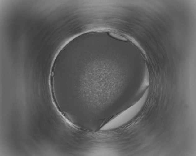 X0000056330959200509161706