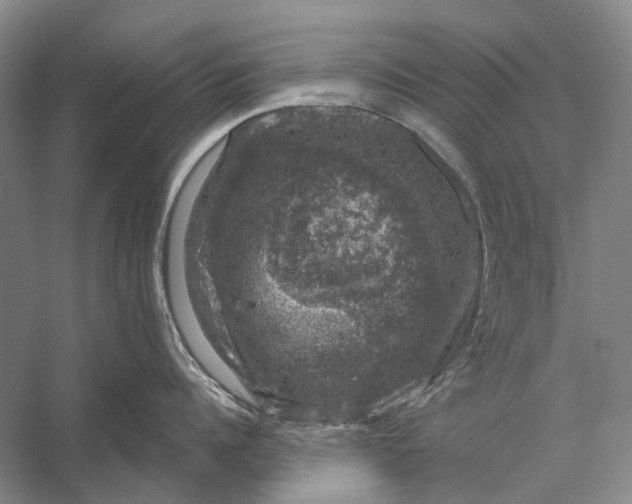 X0000056330960200509161706