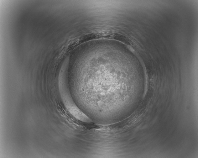 X0000056330961200509161705