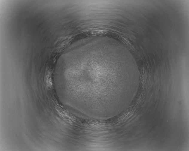 X0000056330962200509161705