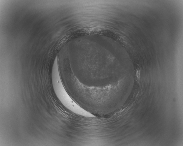 X0000056330963200509161705