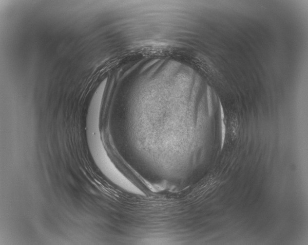 X0000056330964200509161705