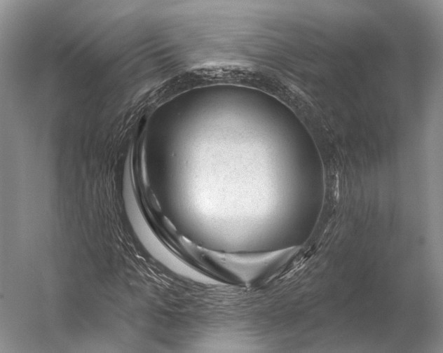 X0000056330965200509161705