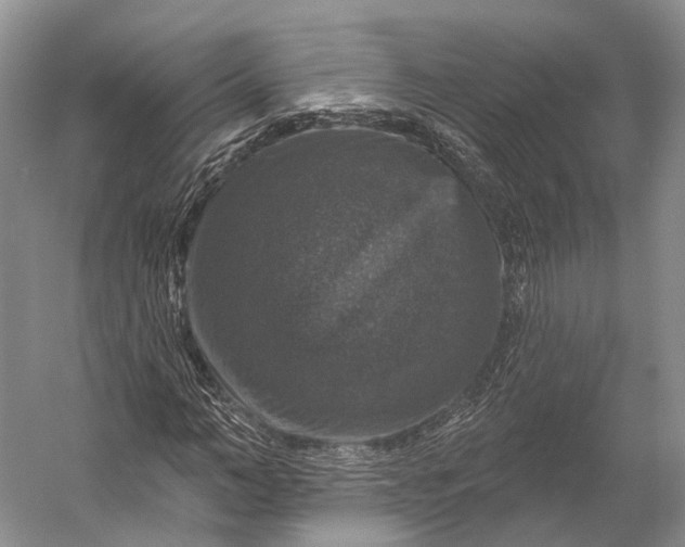 X0000056330966200509161705