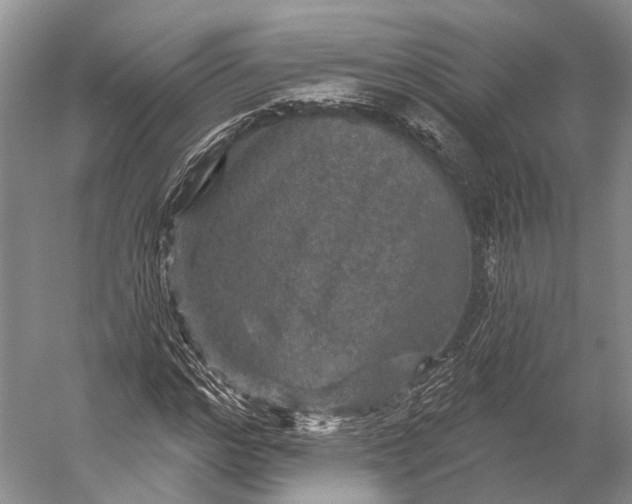 X0000056330968200509161705