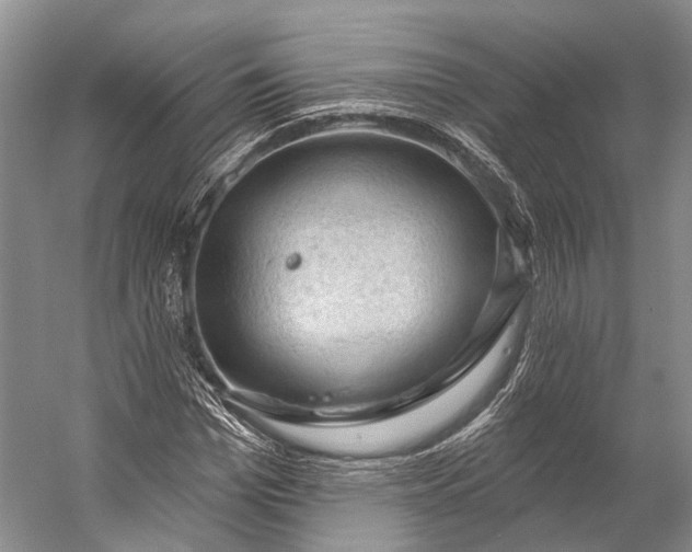 X0000056330969200509161705