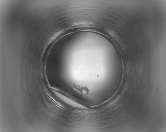 X0000056330970200509161705