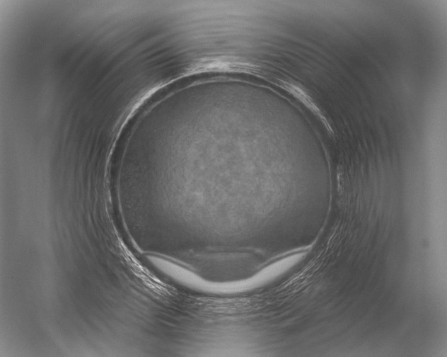 X0000056330972200509161705