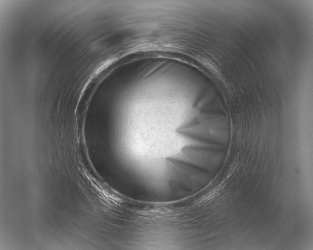 X0000056330974200509161705