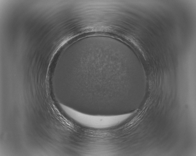 X0000056330975200509161705