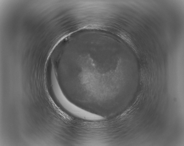 X0000056330976200509161705