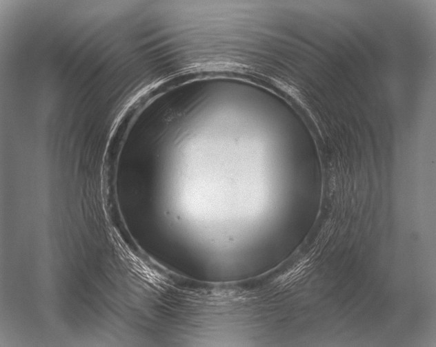 X0000056330979200509161705