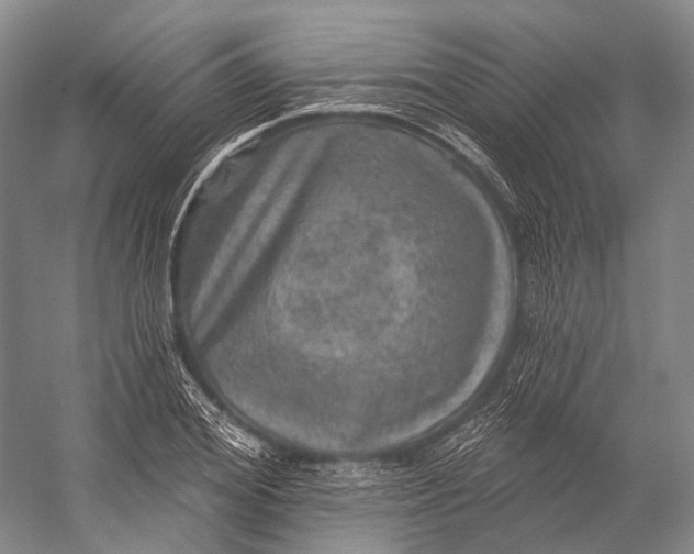 X0000056330980200509161705