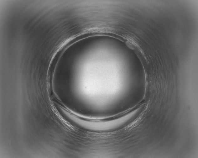 X0000056330981200509161705