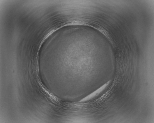 X0000056330982200509161705