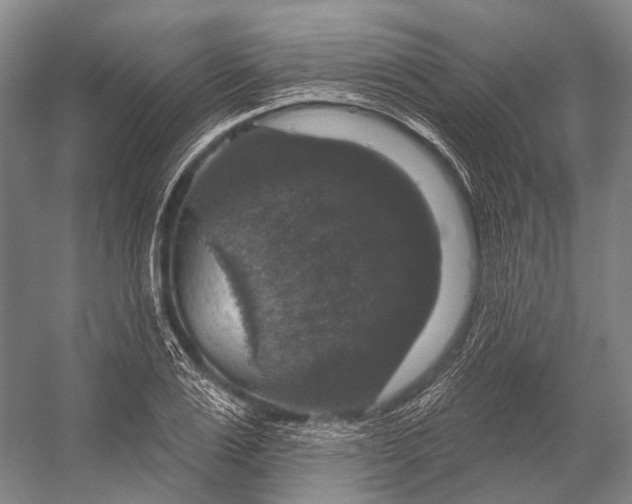 X0000056330983200509161705