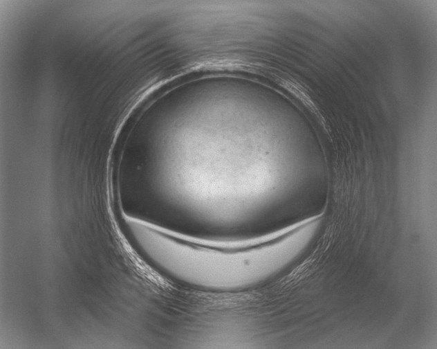 X0000056330984200509161705