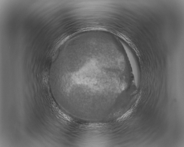 X0000056330985200509161705