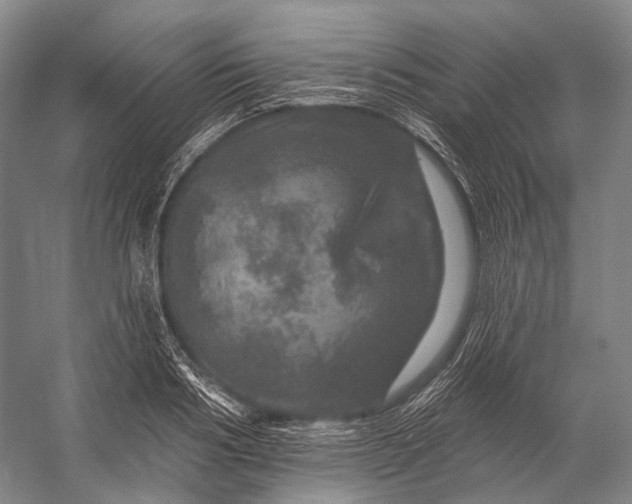 X0000056330986200509161705