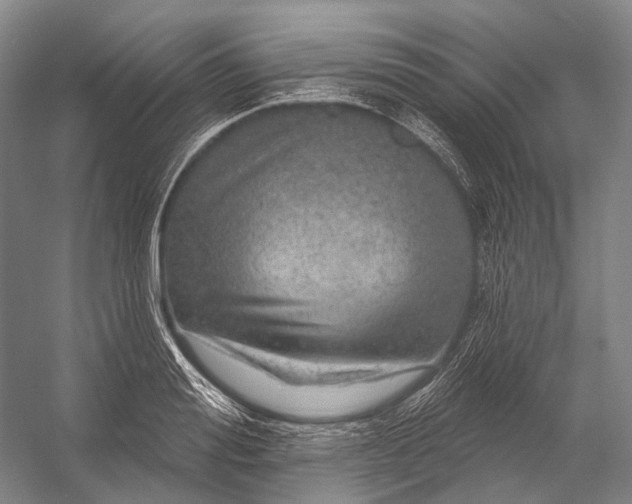 X0000056330988200509161705