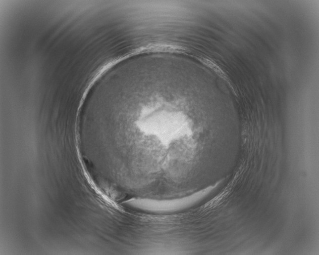 X0000056330989200509161705