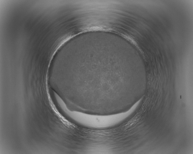 X0000056330991200509161705