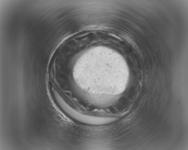 X0000056330992200509161705