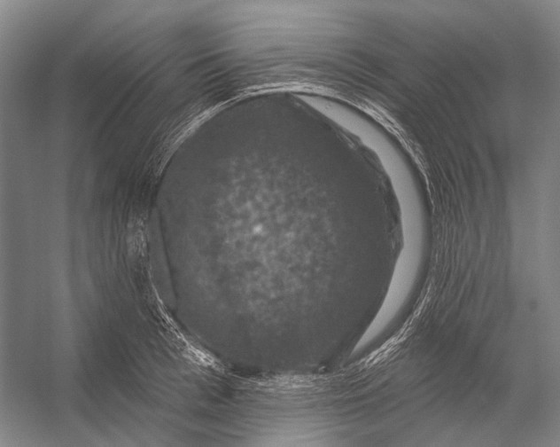 X0000056330993200509161705