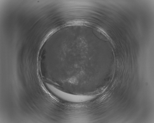 X0000056330994200509161705