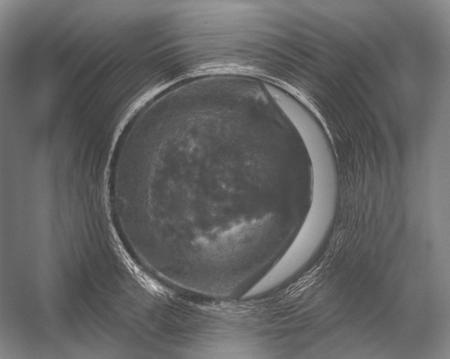 X0000056330995200509161704