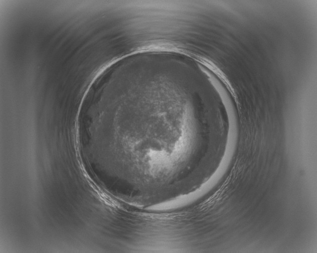 X0000056330996200509161704