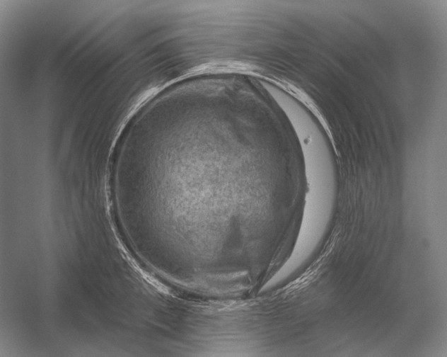 X0000056330997200509161704