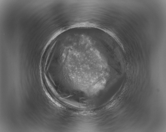 X0000056330998200509161704