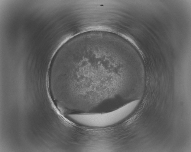 X0000056330999200509161704