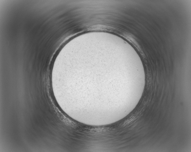 X0000056331000200509161704