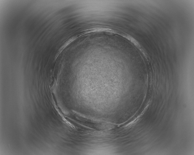 X0000056331001200509161704