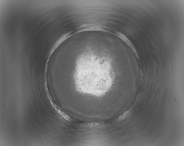 X0000056331002200509161704