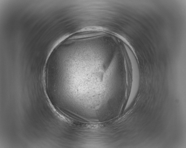 X0000056331003200509161704