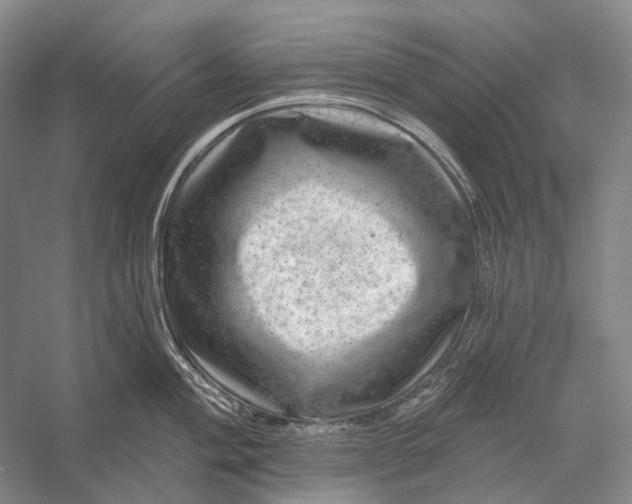 X0000056331004200509161704