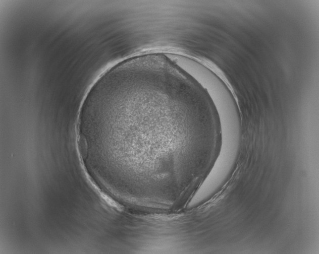 X0000056331005200509161704