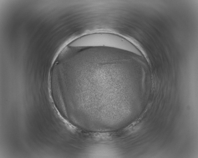 X0000056331006200509161704