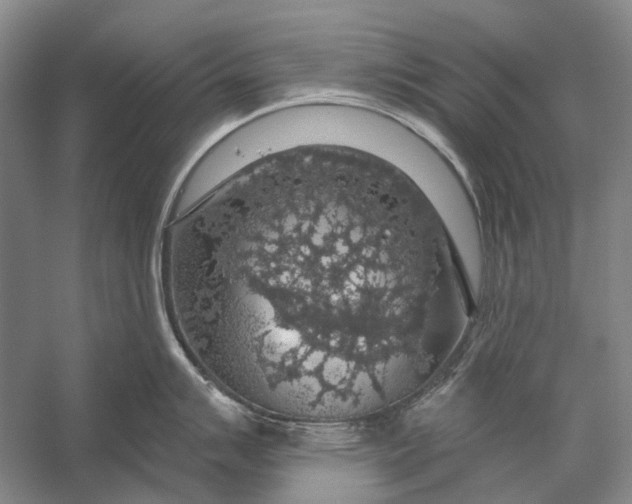 X0000056331007200509161704