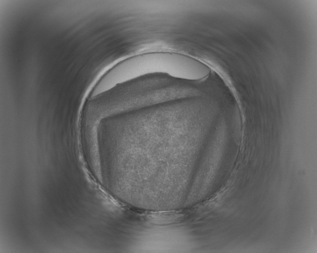 X0000056331008200509161704