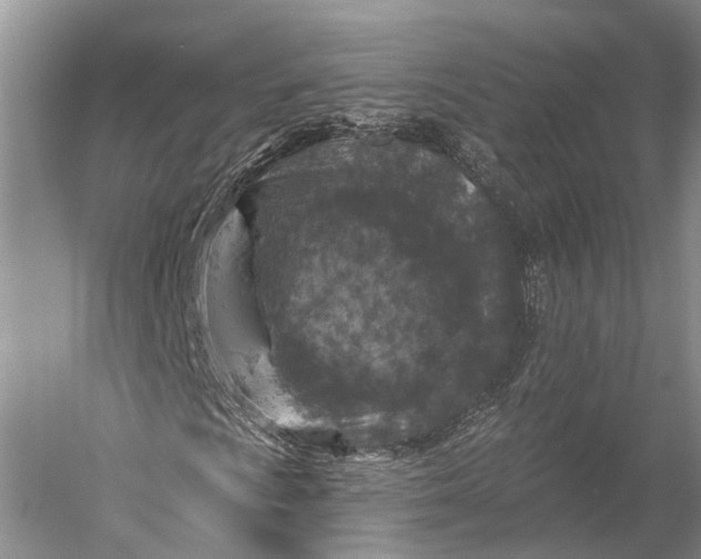 X0000056331009200509161703