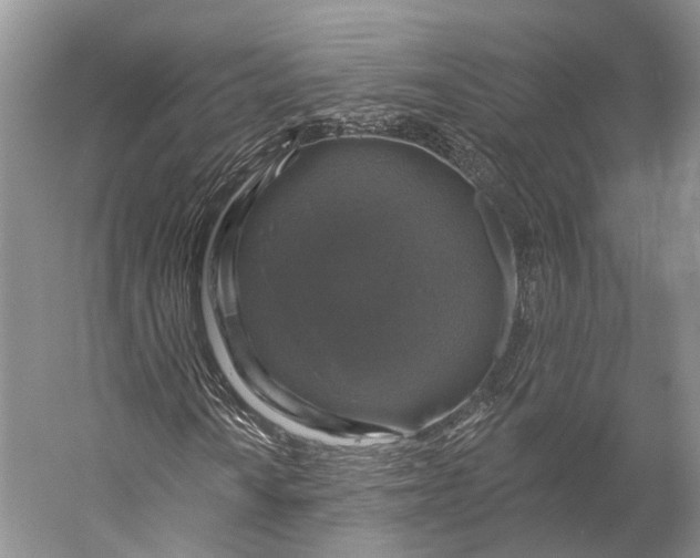 X0000056331010200509161703