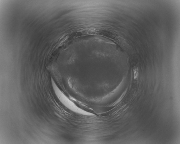 X0000056331011200509161703