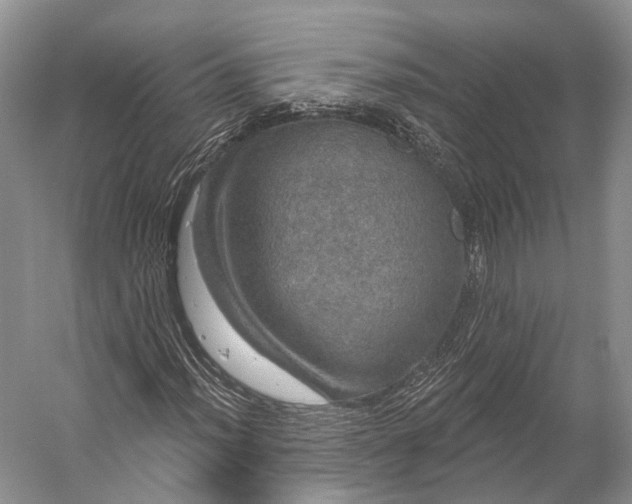 X0000056331012200509161703