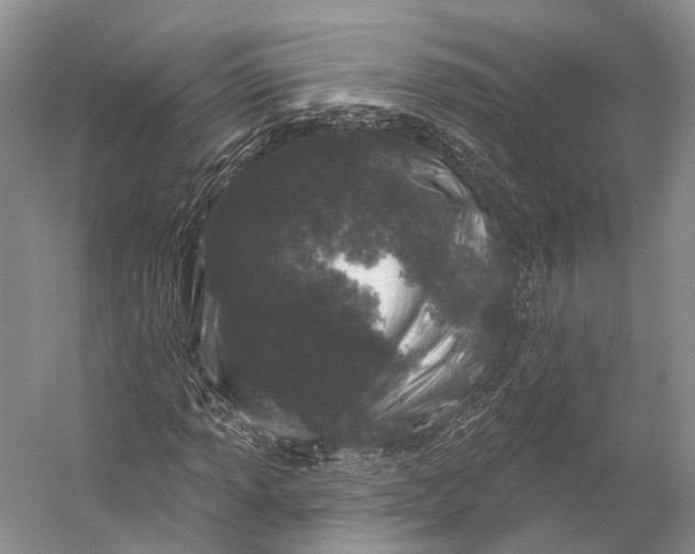 X0000056331013200509161704